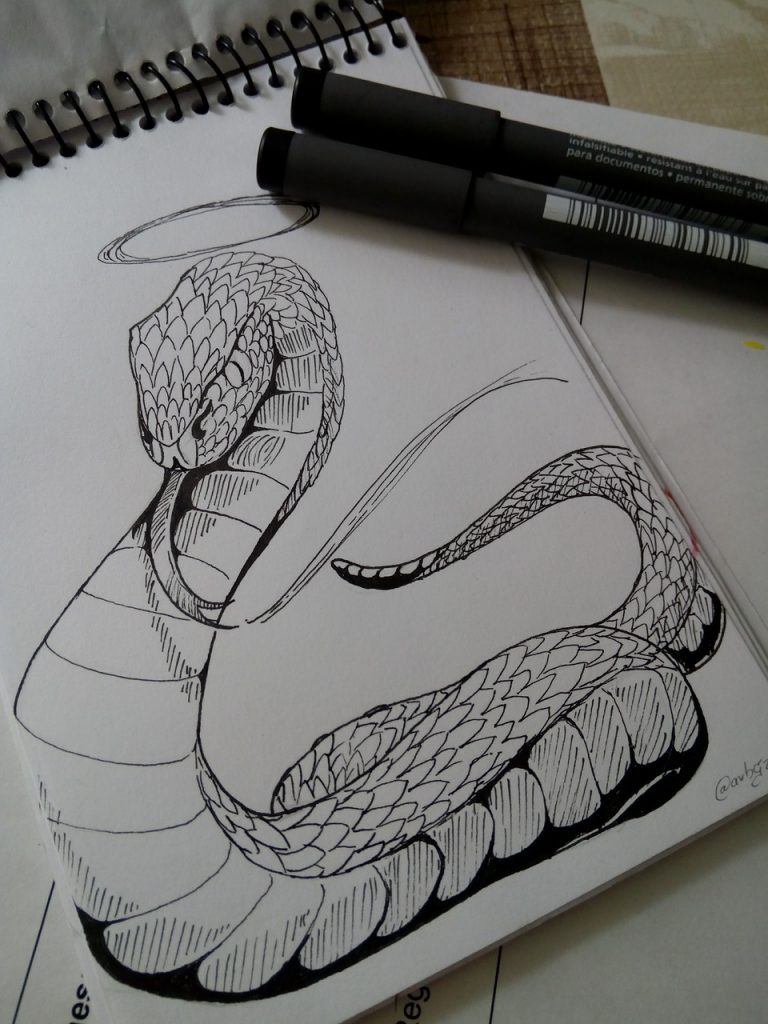 Inkntober Snake Drawing